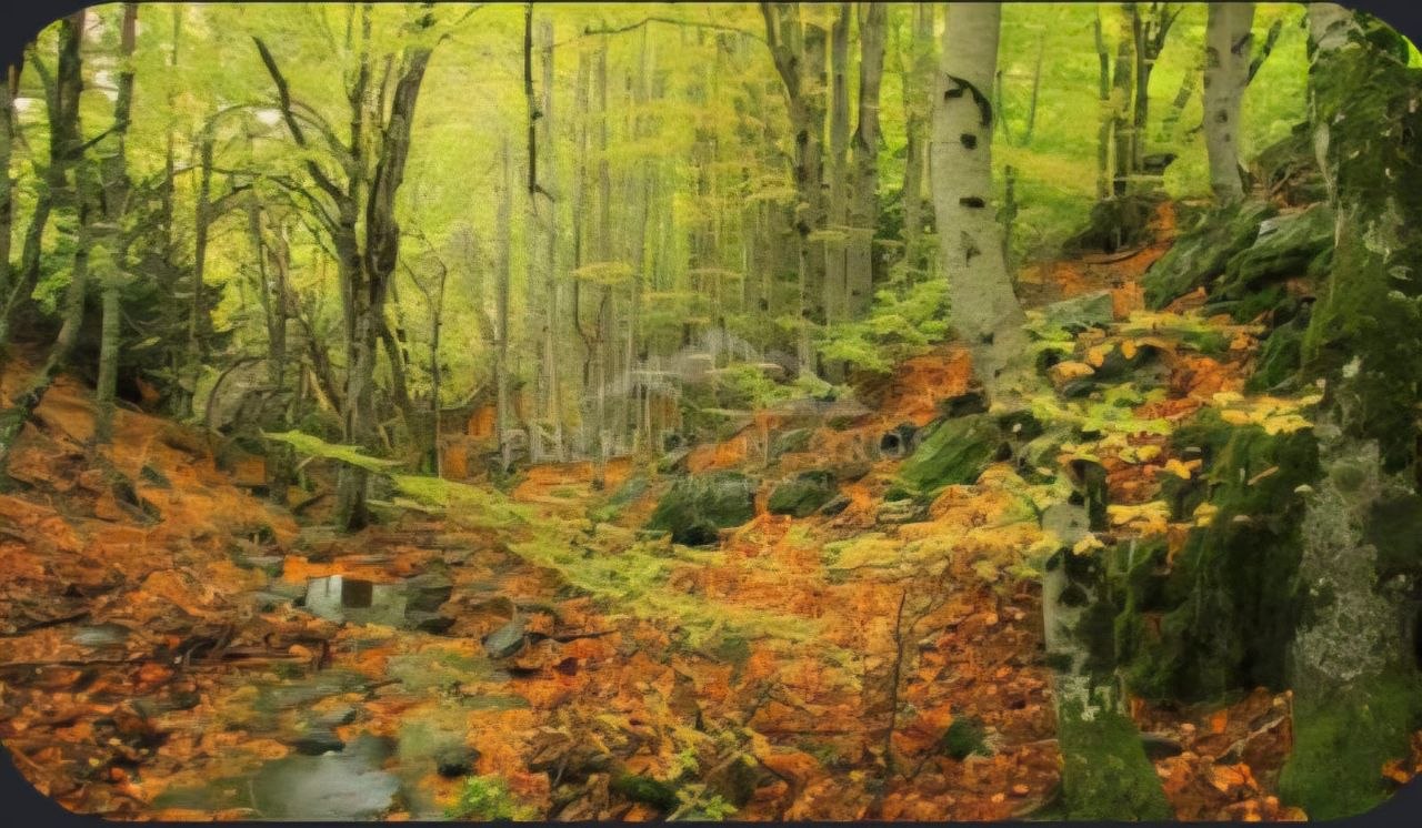 Sendero otoñal por el Hayedo de Tejera Negra